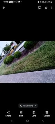 Stylez Yard Work Logo