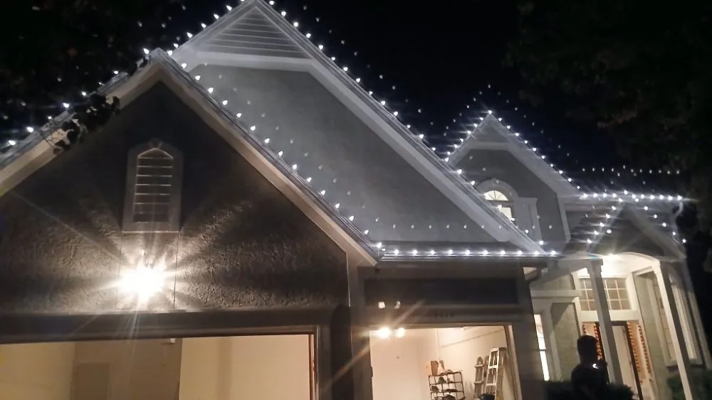 Professional yard cleanup service in Kansas City, MO - STZ Landscaping & Lawn & General Labor