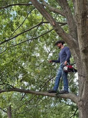 STZ Landscaping & Lawn & General Labor Logo