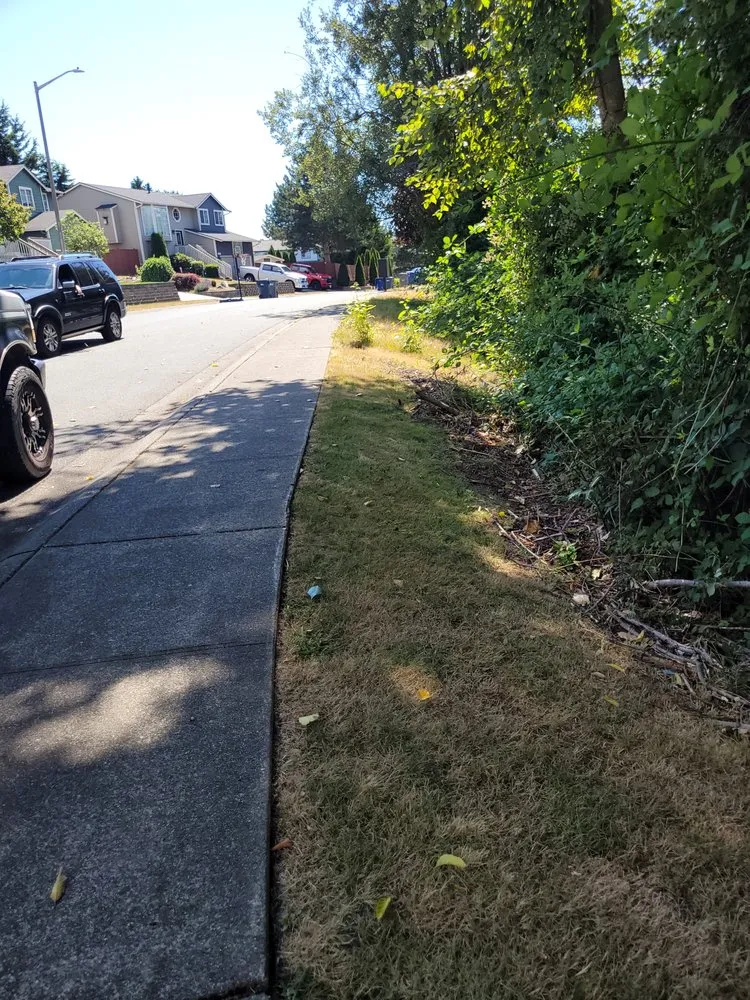 Local yard maintenance experts serving Stanwood, WA - Su Casa Landscaping