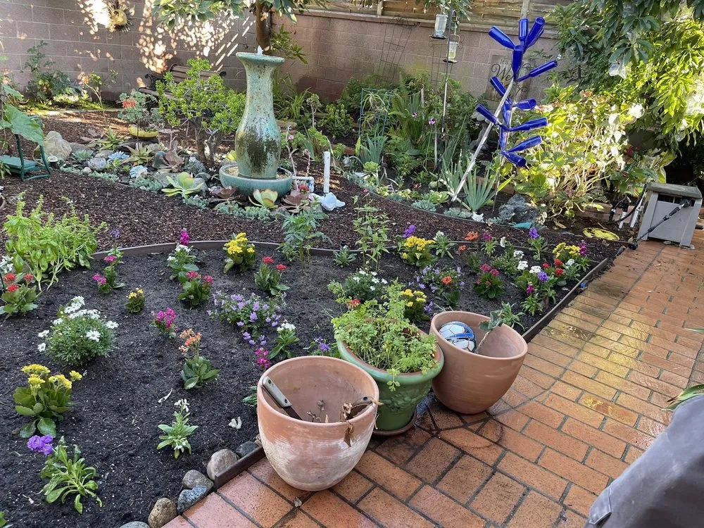 Expert outdoor landscaping experts serving Carson, CA - Suarez Landscaping