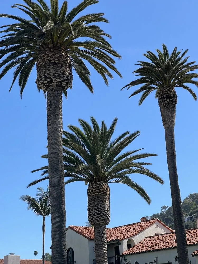 Professional garden landscaping experts serving Carson, CA - Suarez Landscaping