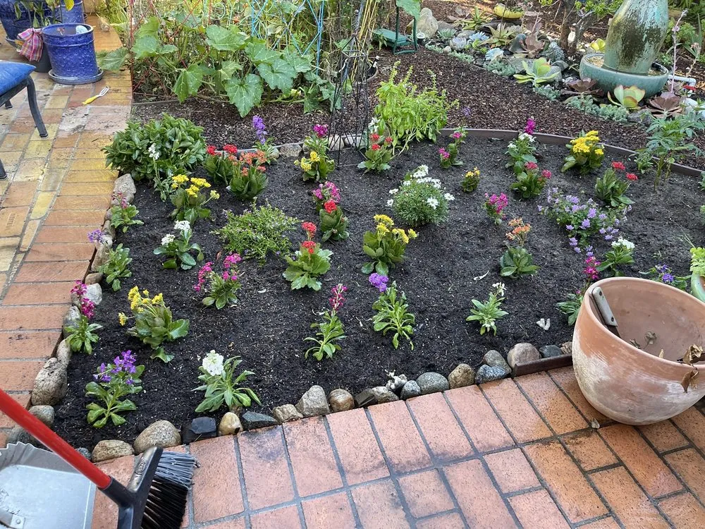 Custom lawn mowing service near you across Carson, CA - Suarez Landscaping