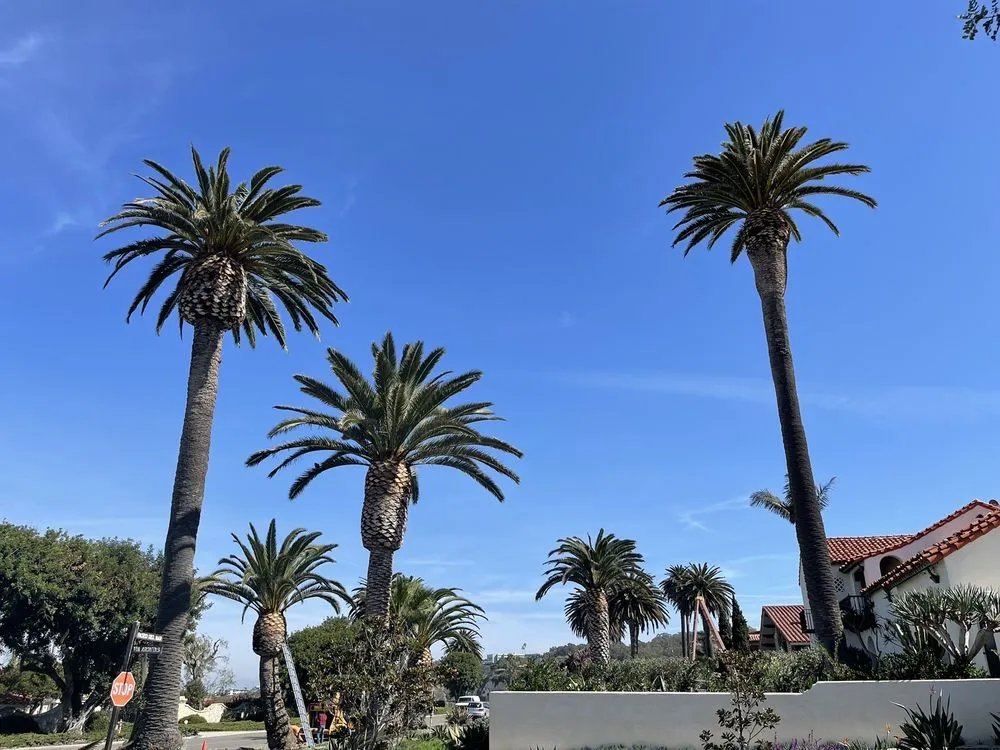 Professional residential landscaping for year-round maintenance in Carson, CA by Suarez Landscaping