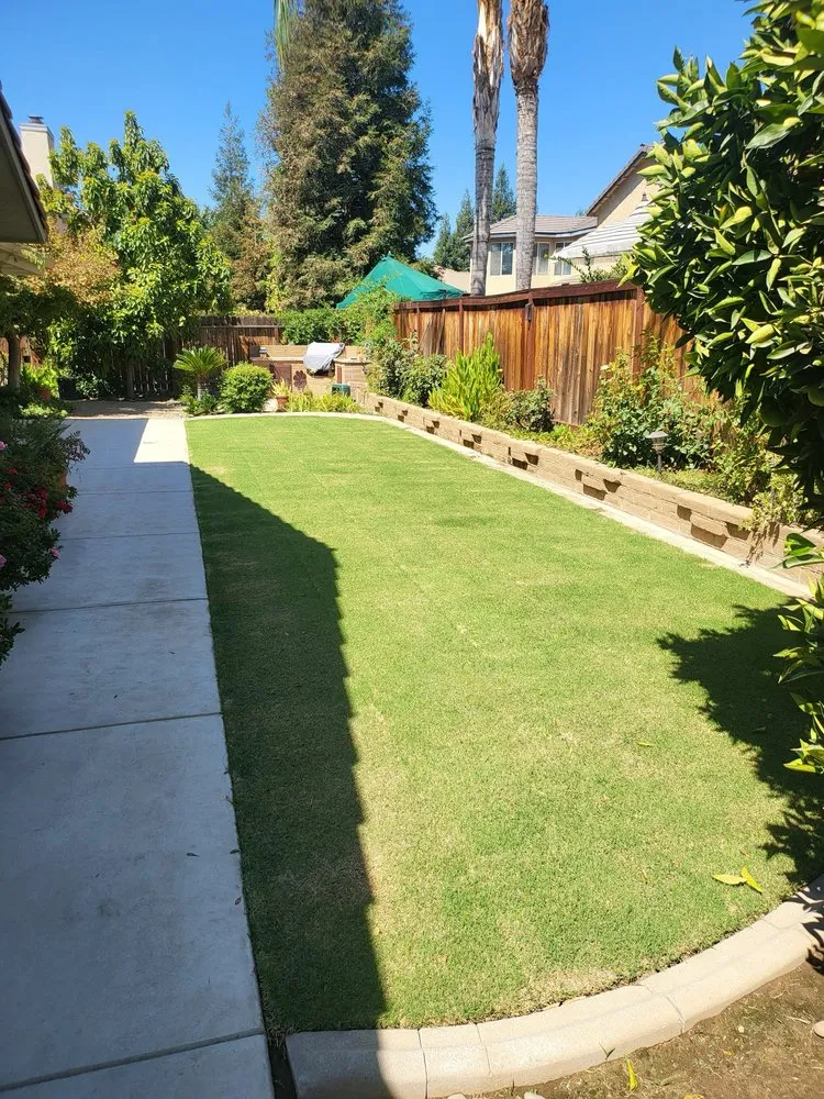 Trusted yard maintenance experts serving Clovis, CA - Suarez Lawn Services