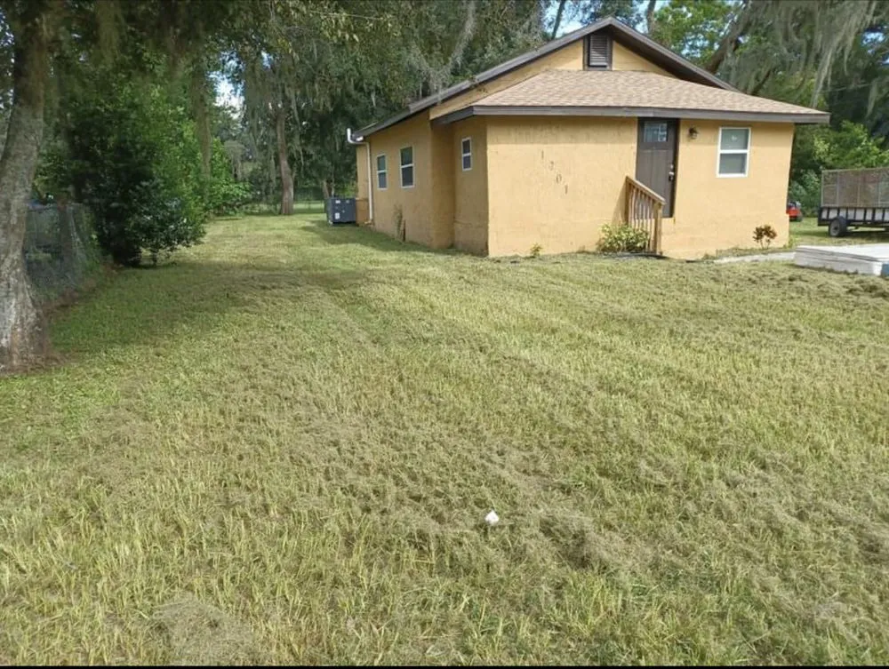 Professional landscape design in Tampa Bay, FL by Suarez mowing company