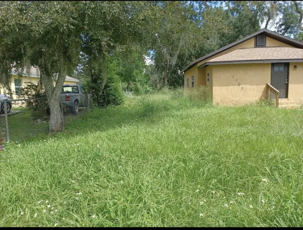 Trusted yard cleanup service in Tampa Bay, FL by Suarez mowing company