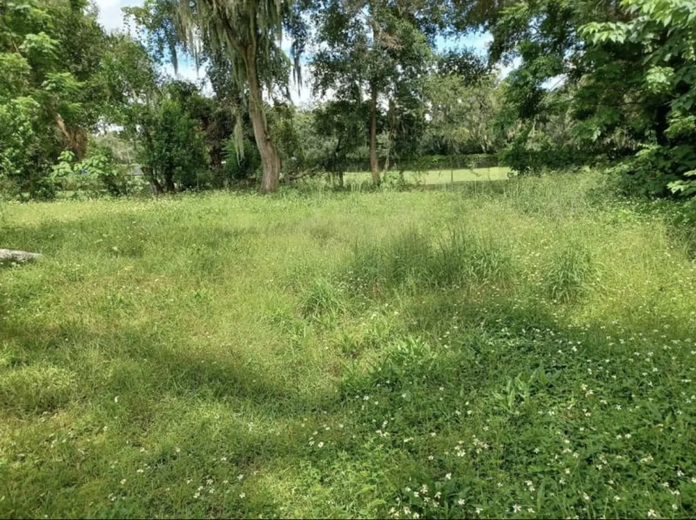 Top-rated landscape installation in Tampa Bay, FL by Suarez mowing company