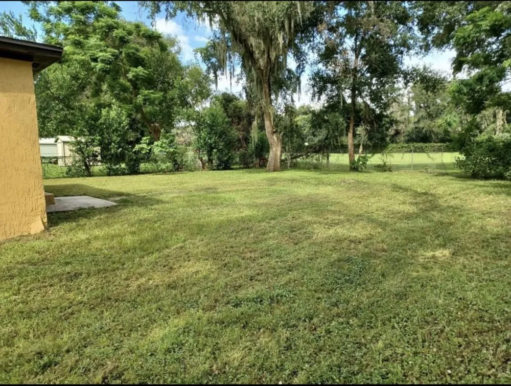Local landscape design experts serving Tampa Bay, FL - Suarez mowing company