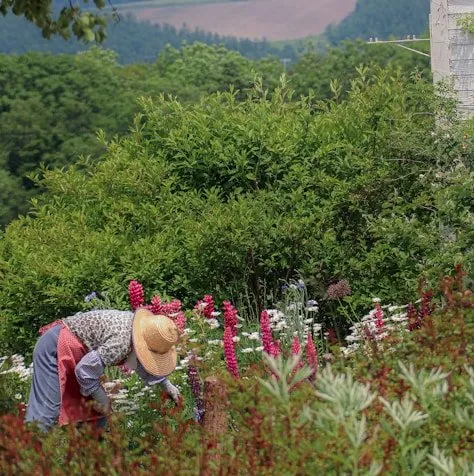 Local outdoor landscaping near you across North Charleston, SC - Suarez Pinestraw
