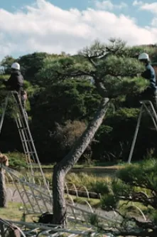 Local landscape installation in North Charleston, SC - Suarez Pinestraw