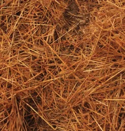 Affordable yard maintenance in North Charleston, SC by Suarez Pinestraw