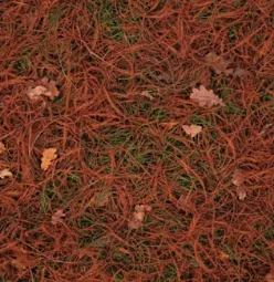 Custom lawn care service in North Charleston, SC by Suarez Pinestraw