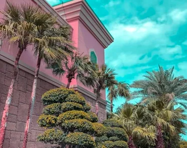 Expert residential landscaping in North Charleston, SC - Suarez Pinestraw