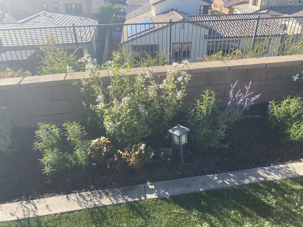Reliable garden landscaping in Laguna Beach, CA by Suavecito Landscaping