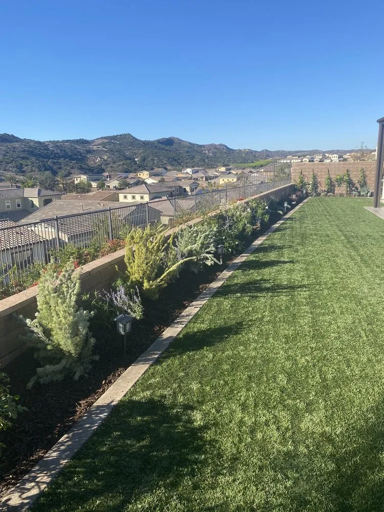 Reliable yard maintenance in Laguna Beach, CA by Suavecito Landscaping