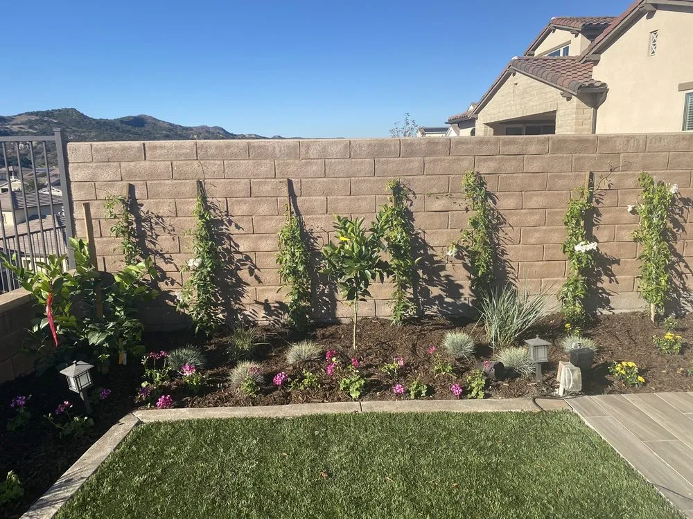 Reliable lawn mowing service experts serving Laguna Beach, CA - Suavecito Landscaping