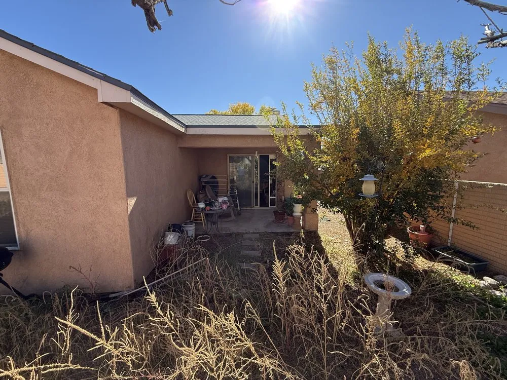 Local yard cleanup service for year-round maintenance across Las Cruces, NM - Suavecito Landscaping