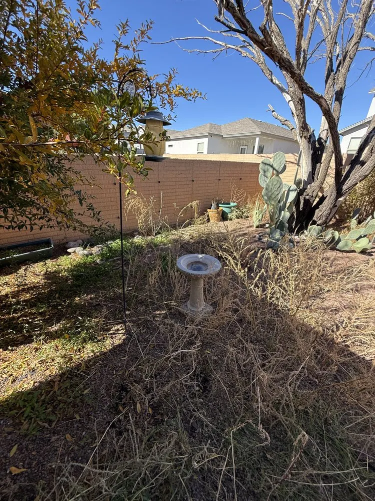 Expert lawn mowing service in Las Cruces, NM by Suavecito Landscaping