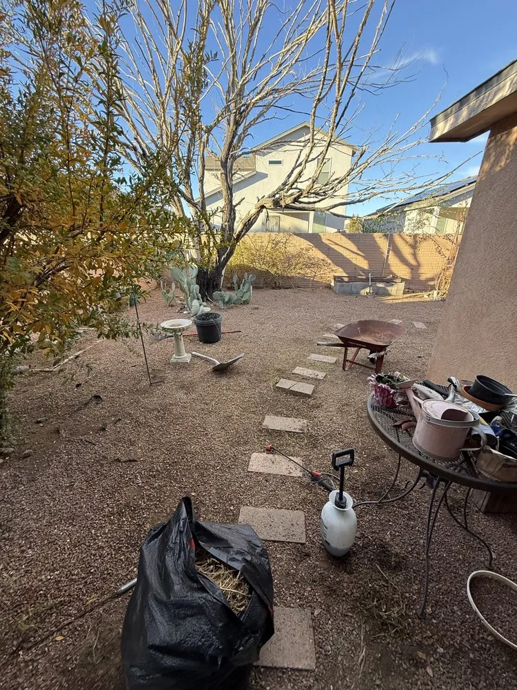 Reliable residential landscaping for homes across Las Cruces, NM - Suavecito Landscaping