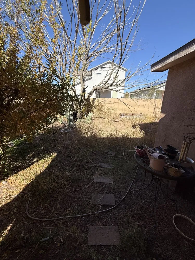 Affordable outdoor landscaping for year-round maintenance across Las Cruces, NM - Suavecito Landscaping