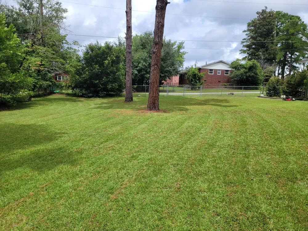 Local residential landscaping for homes across West Columbia, SC - Sub Shopper Lawn care