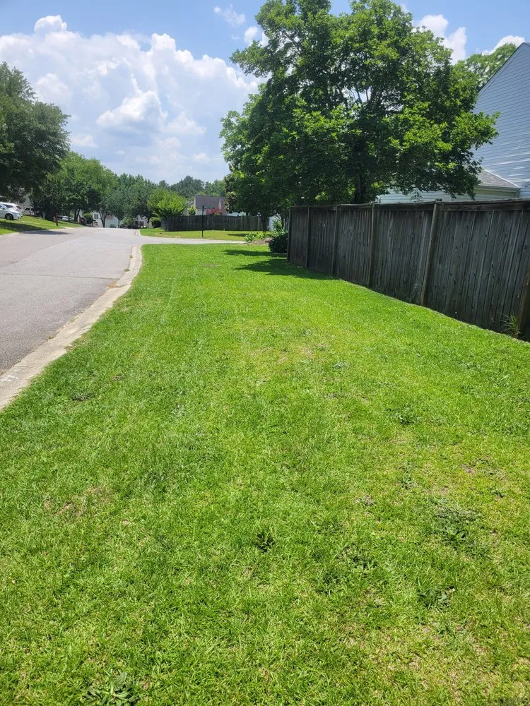 Professional yard cleanup service for year-round maintenance in West Columbia, SC by Sub Shopper Lawn care