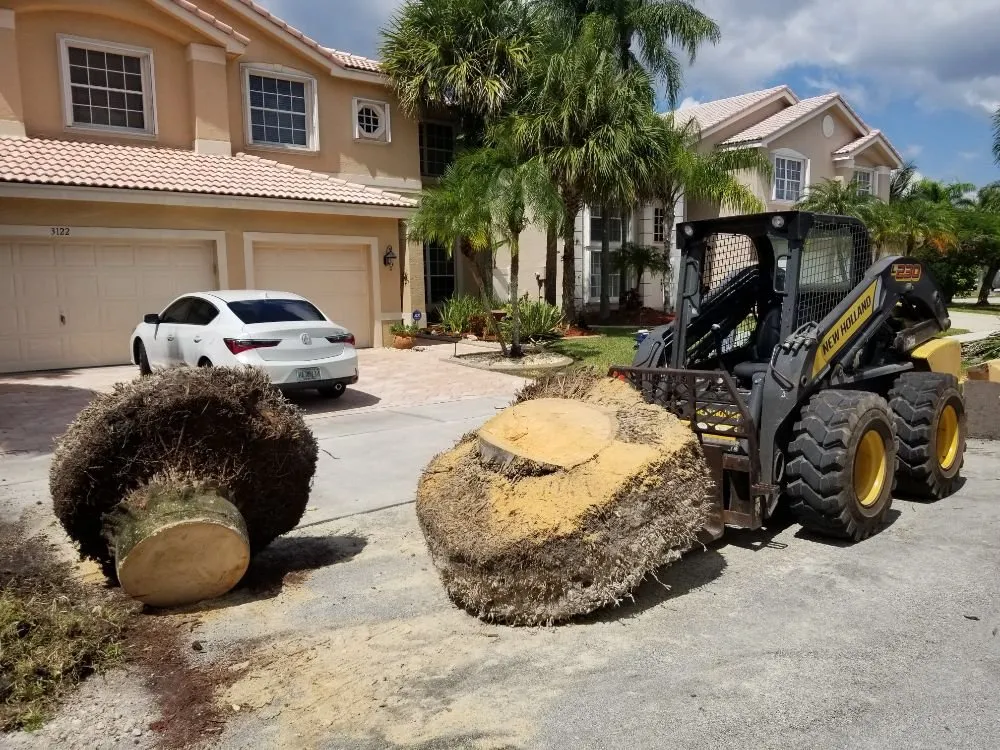 Trusted outdoor landscaping experts serving Homestead, FL - Sublime Garden Services