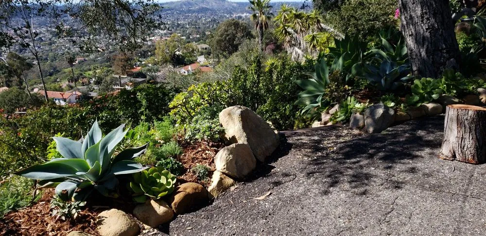 Affordable lawn mowing service for outdoor upgrades across Santa Barbara, CA - Sublime Gardens