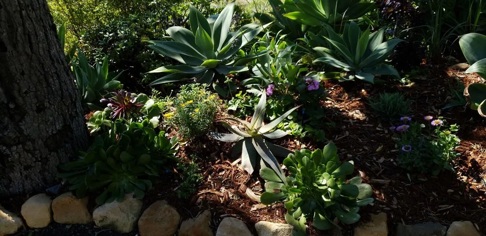 Trusted garden landscaping for outdoor upgrades in Santa Barbara, CA by Sublime Gardens
