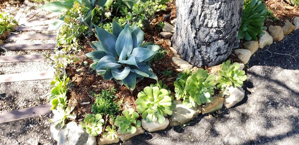 Custom landscaping services in Santa Barbara, CA by Sublime Gardens