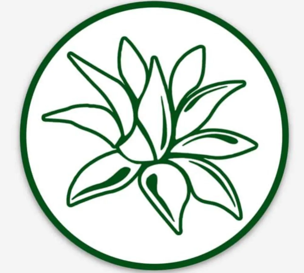 Reliable landscaping services in Santa Barbara, CA by Sublime Gardens