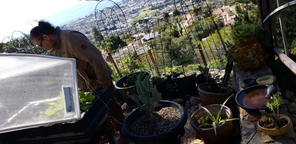 Local yard cleanup service for residential properties in Santa Barbara, CA by Sublime Gardens