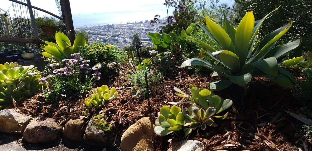 Reliable residential landscaping experts serving Santa Barbara, CA - Sublime Gardens