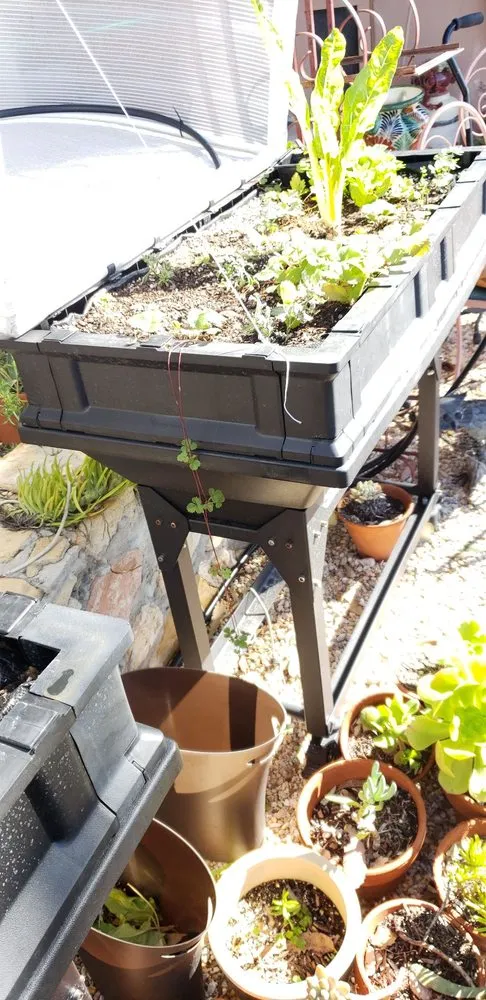 Custom yard cleanup service experts serving Santa Barbara, CA - Sublime Gardens