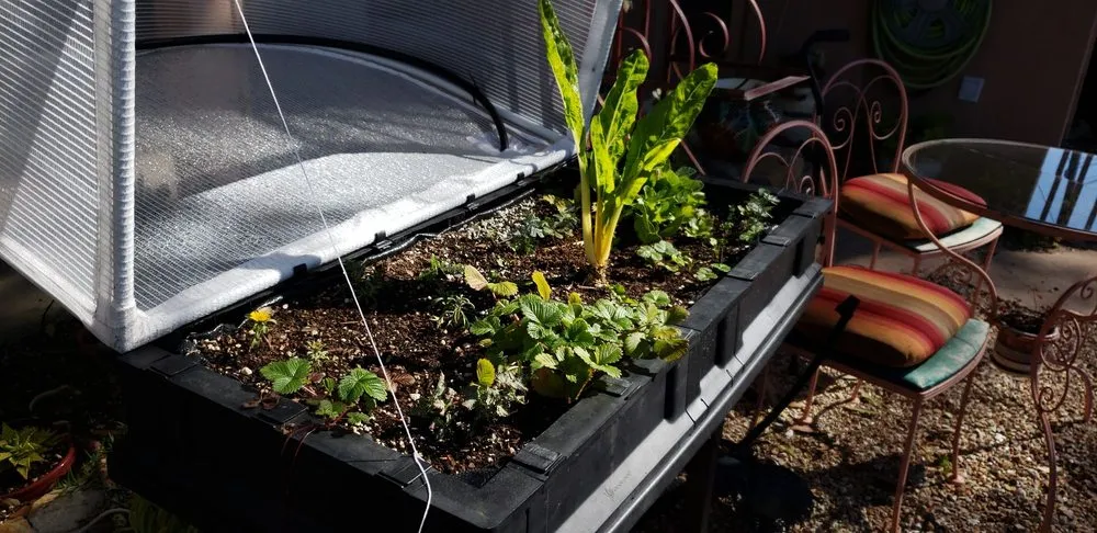 Top-rated outdoor landscaping with custom design across Santa Barbara, CA - Sublime Gardens