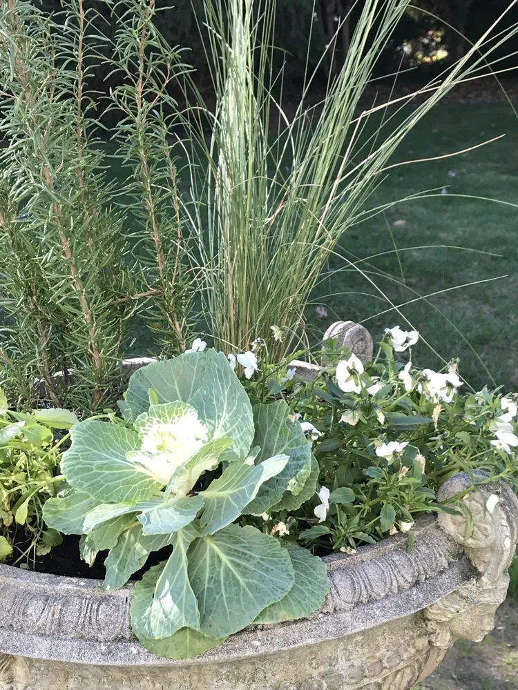 Trusted lawn care service for outdoor upgrades across Richmond, VA - Sublime Landscaping