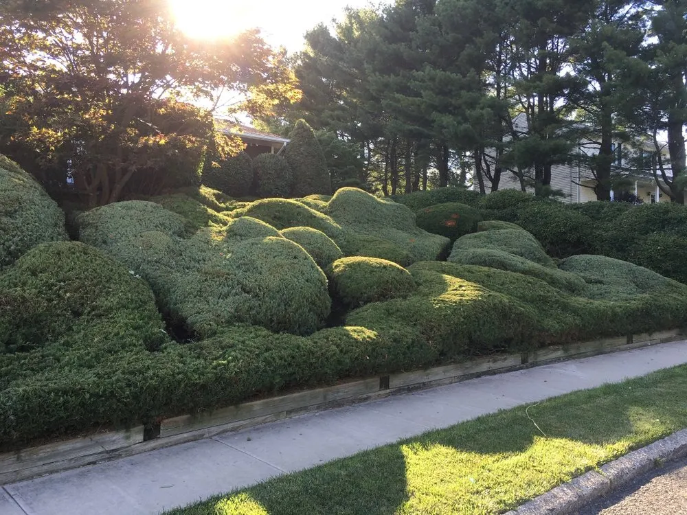 Reliable yard maintenance for beautiful yards across Warwick, NY - Sublime Landscaping