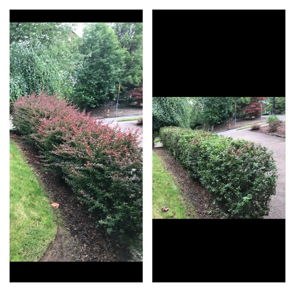 Top-rated garden landscaping in Forest Grove, OR - Sublime Yard Services