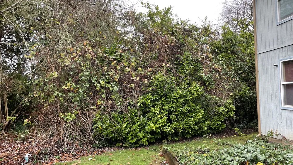 Professional landscape installation for homes in Forest Grove, OR by Sublime Yard Services