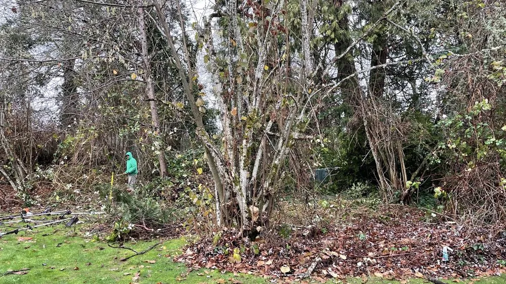 Custom yard cleanup service experts serving Forest Grove, OR - Sublime Yard Services