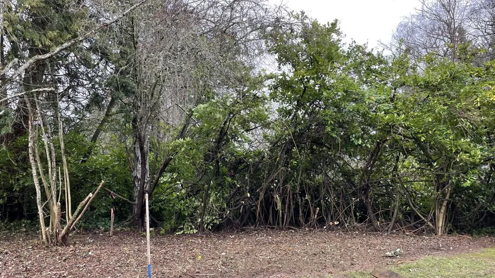 Reliable landscape design near you in Forest Grove, OR by Sublime Yard Services