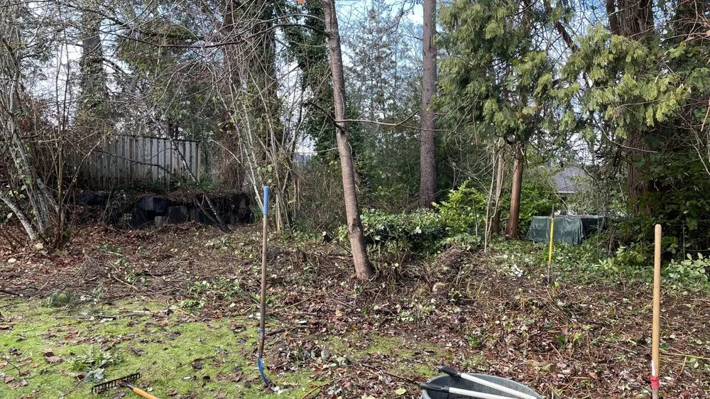 Professional lawn care service for beautiful yards in Forest Grove, OR by Sublime Yard Services