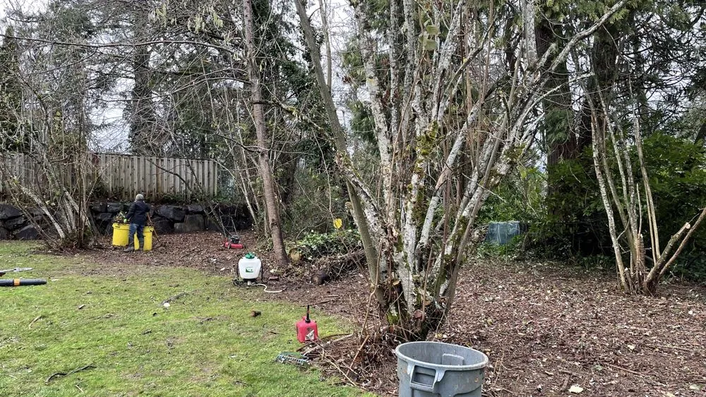 Trusted lawn mowing service experts serving Forest Grove, OR - Sublime Yard Services