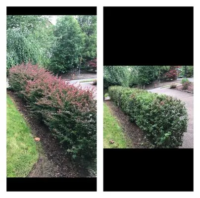 Sublime Yard Services