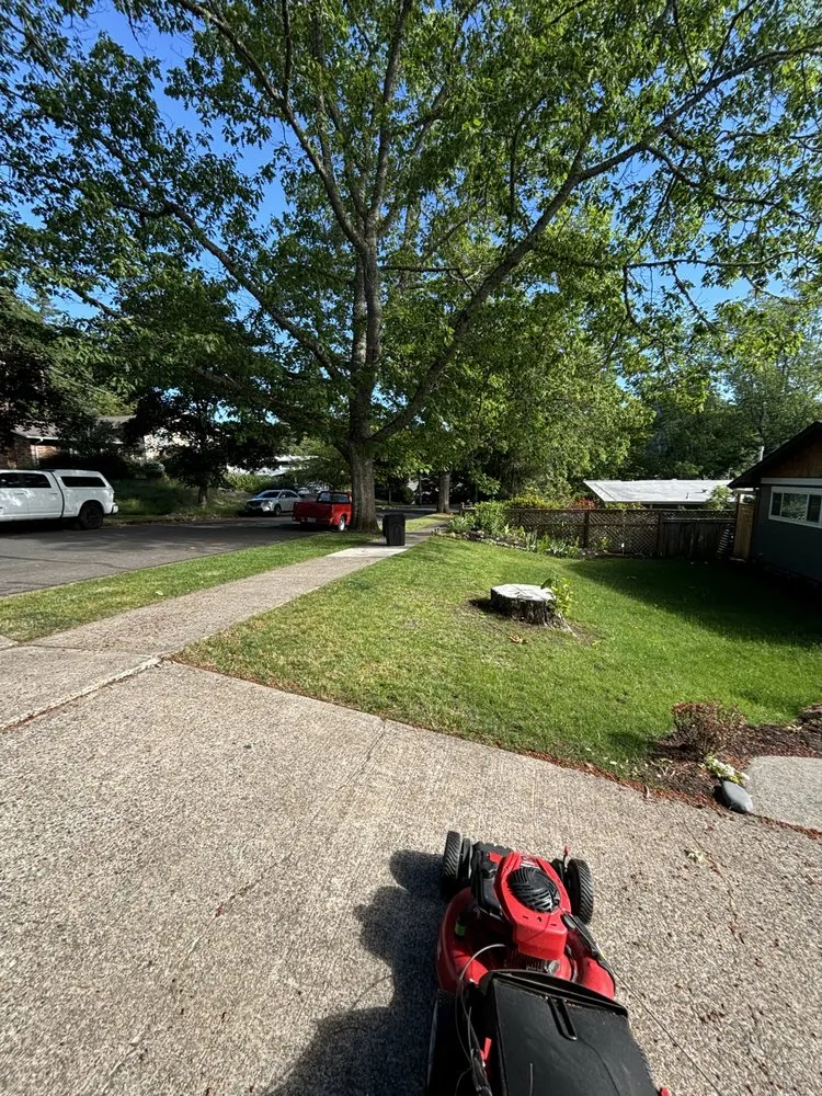 Affordable lawn care service near you across Springfield, OR - Sublimity Lawncare