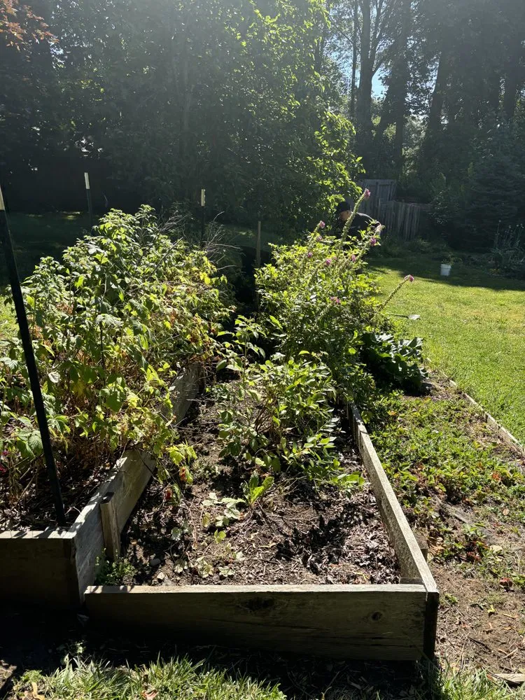 Custom yard cleanup service in Springfield, OR by Sublimity Lawncare