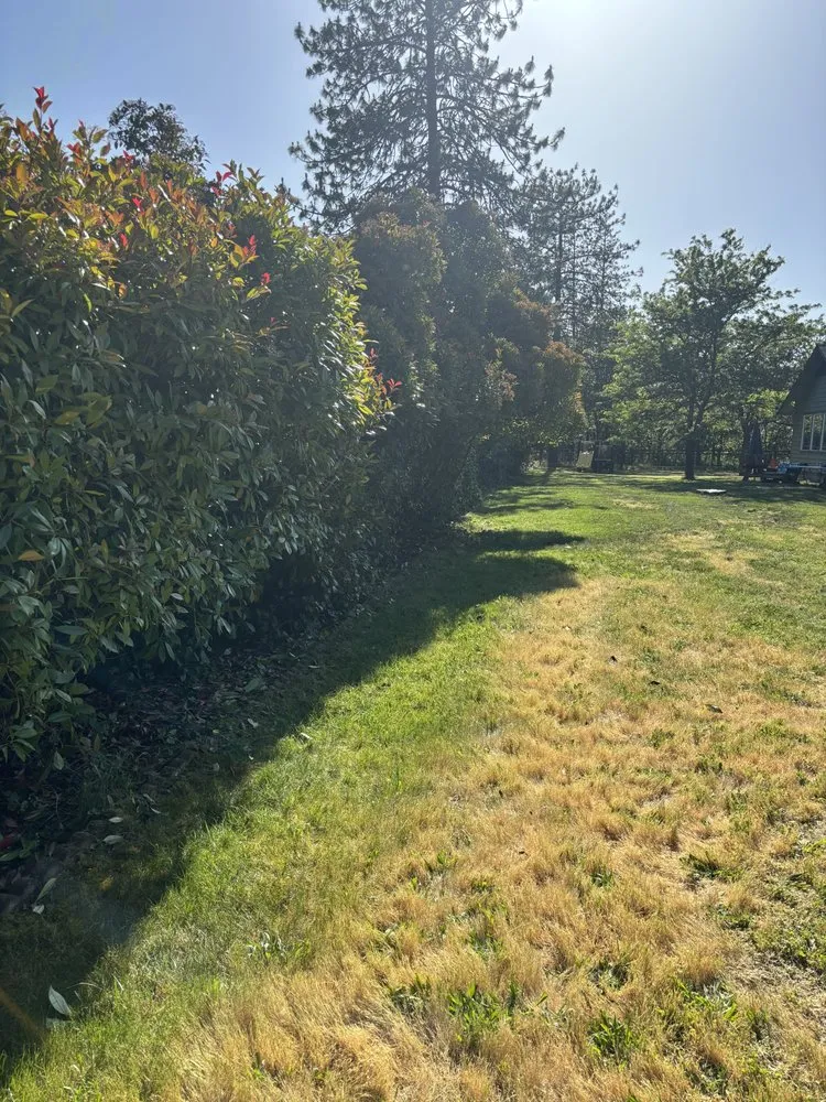 Professional residential landscaping near you in Springfield, OR by Sublimity Lawncare