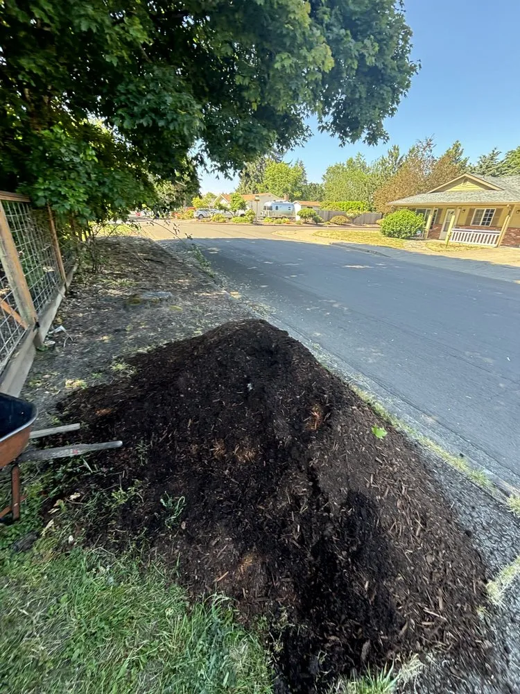 Local yard cleanup service for outdoor upgrades across Springfield, OR - Sublimity Lawncare