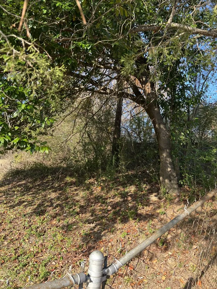 Affordable landscape design experts serving Memphis, TN - Substantial Property Management